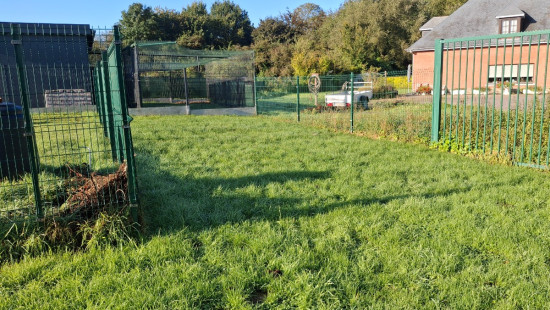 Frans van der Steenstraat - 125 - - 1750