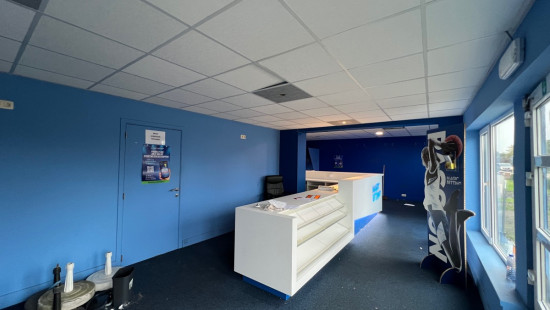 Balendijk - 127 - - 3920