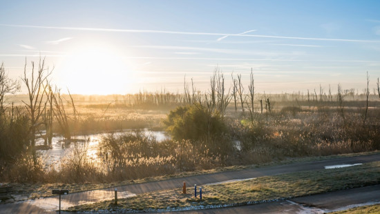 Brandweerstraat - 8 - - 9150