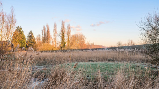 Brandweerstraat - 8 - - 9150