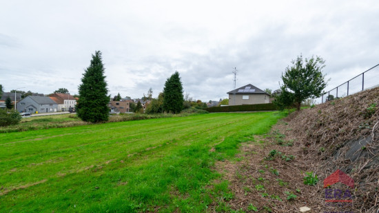 Korenmaat - lv21 Lot1 - - 3370