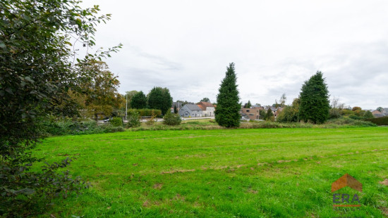 Korenmaat - lv21 Lot1 - - 3370