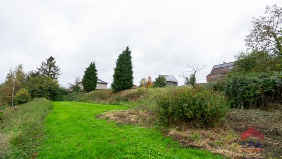 Korenmaat - lv21 Lot1 - - 3370