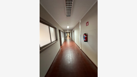 Rue de la Hamaide - 117 - - 7333