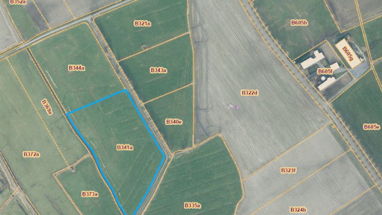 Cathilleweg - + - - 8490