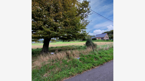 Au Sart - 1 - - 4480