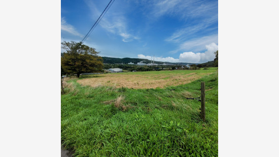 Au Sart - 1 - - 4480