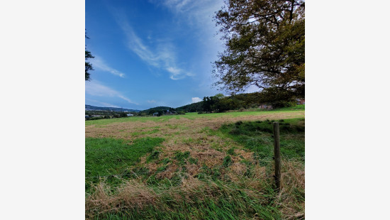 Au Sart - 1 - - 4480