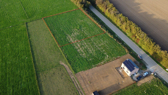 Rue de Bodegnée - 1 - - 4530