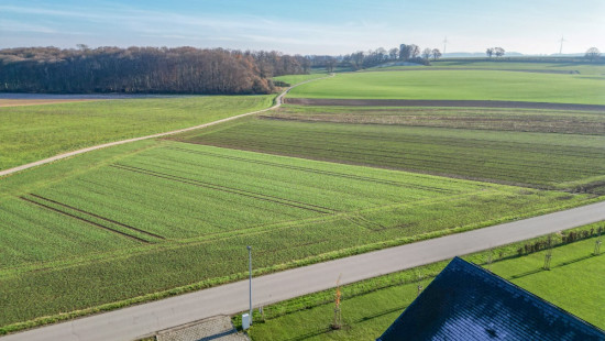 Rue de Steinfort - 0 - - 6700