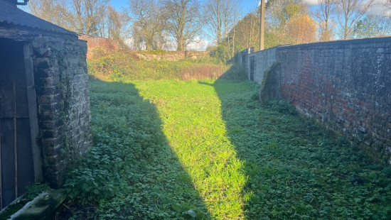 Rue des Juifs - 31 - - 7950