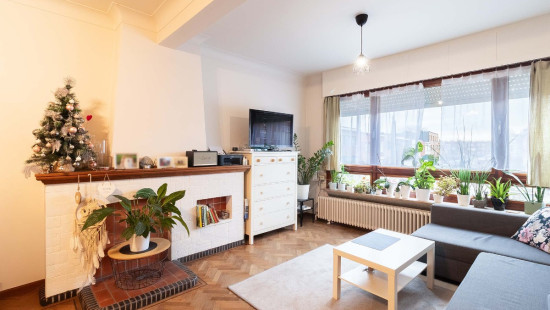 Palmanshoevestraat - 42 - - 2610