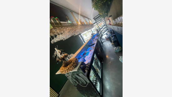 Kortrijkstraat - 9 - - 8930