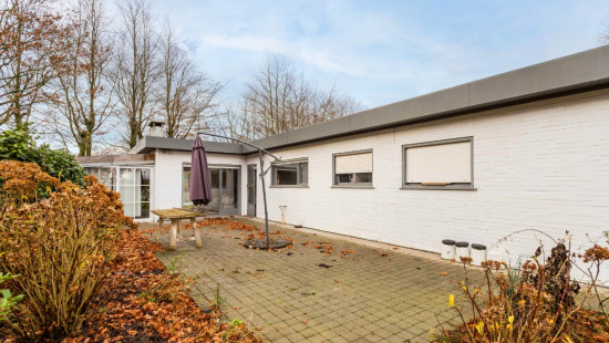 Rozendreef - 6 - - 8550