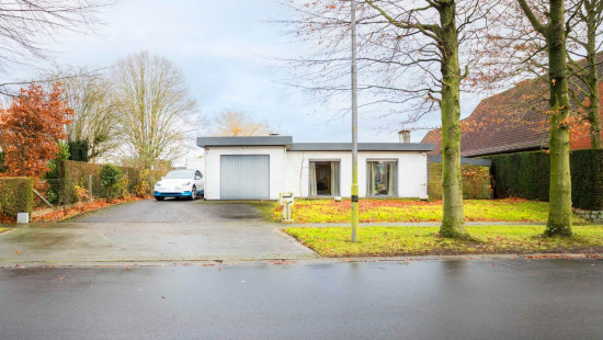 Rozendreef - 6 - - 8550