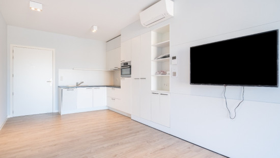 Zuidburgweg - 48 - 0206 - 8630