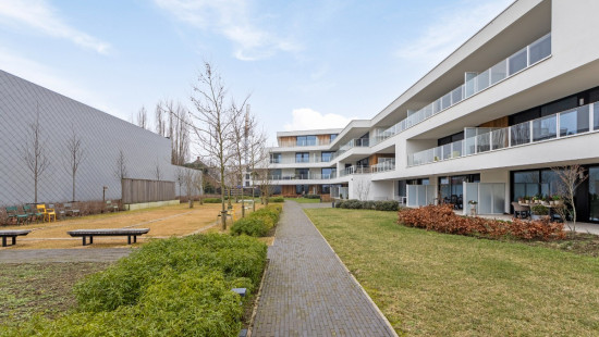 Molenstraat - 67 - 2.23 - 8790