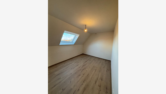 Dadizeelsestraat - 18 - 0202 - 6 - 8890