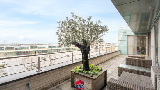 Hertog Janplein - 32 - C - 3920