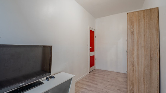 Renard - 171 - - 4100