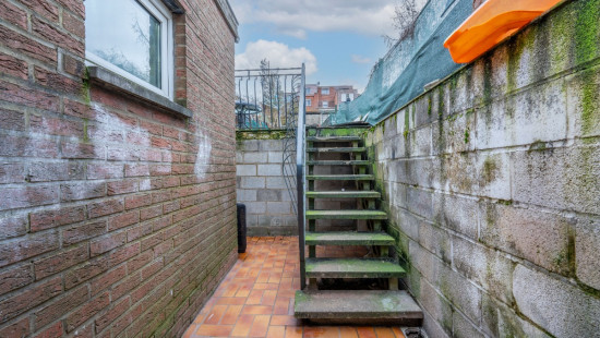 Renard - 171 - - 4100