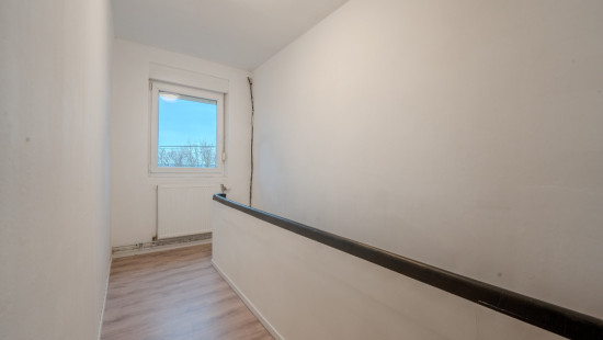 Renard - 171 - - 4100