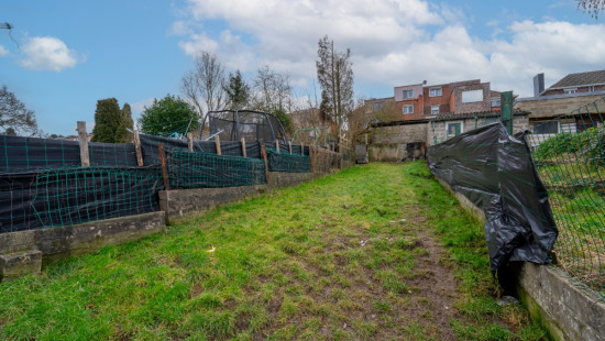 Renard - 171 - - 4100