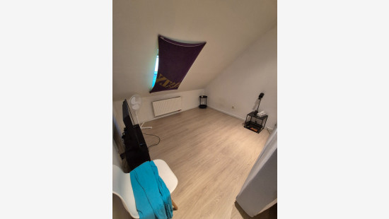 Halewijnstraat - 5 - 0101 - 8930