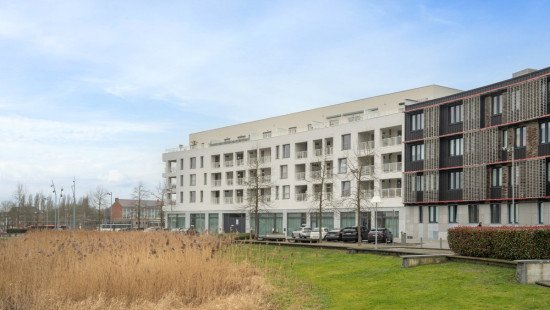 Rue des Emailleurs - 2 - 103 - 7100