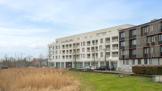 Rue des Emailleurs - 6 - 1 - 7100