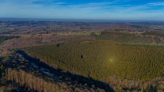 Fosse du loup - 5A - - 4190