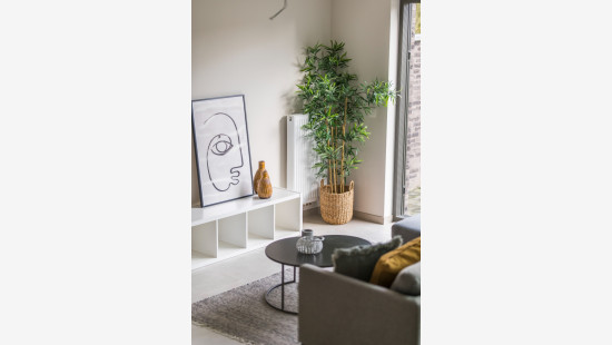 Kamerstraat - 20B - - 9255