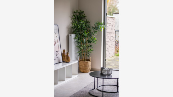 Kamerstraat - 20B - - 9255