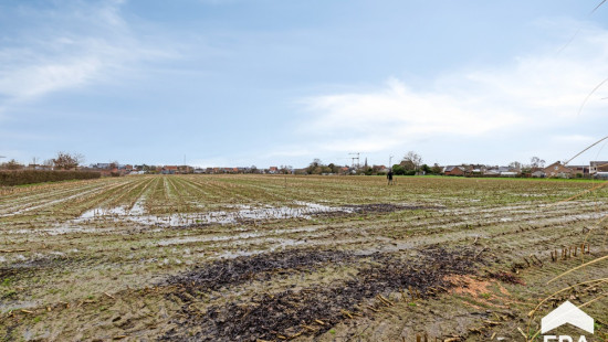 Kruiswegestraat - 70 - - 8755