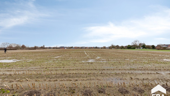 Kruiswegestraat - 68 - - 8755