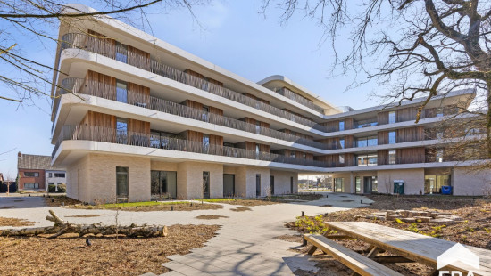 Stationsstraat - 260 - 0402 - 4.01 - 3920