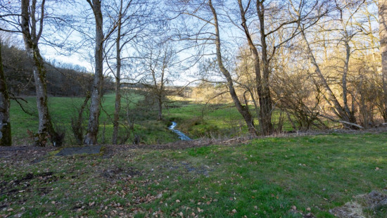 Randoux - 5 - - 6660