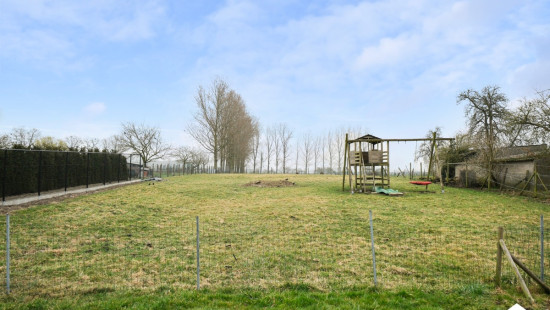 Bosstraat - 101 - - 3830