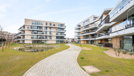 Prosper van Raemdonckstraat - 74 - 403 - A401 - 9120