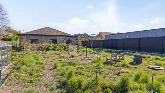 Galgewegel - 48 - - 8790