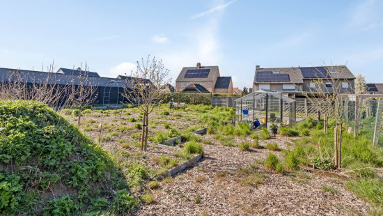 Galgewegel - 48 - - 8790