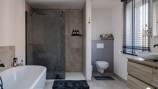 Raf Mailleuxstraat - 31 - - 3600