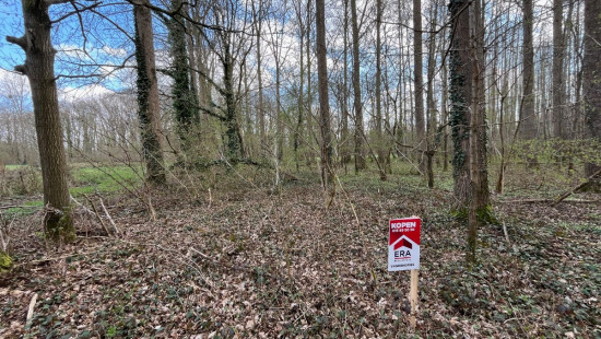 Kloosterbroek - zn - - 0747M3P0000 + 0747L3P0000 - 3111