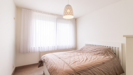 Heistraat - 278 - 201 - 2610