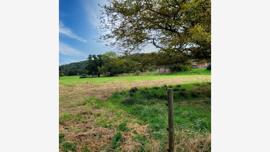 Au Sart - 1 - - 4480