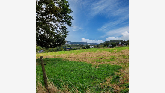 Au Sart - 1 - - 4480