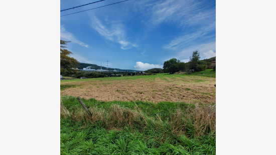 Au Sart - 1 - - 4480