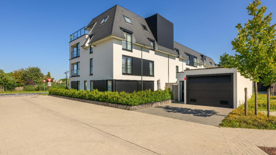 Wingenesteenweg - 29A - 0301 - 8750