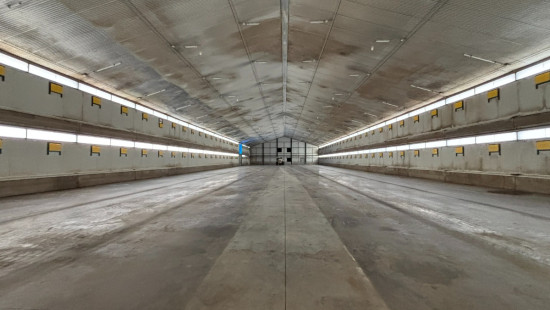 Winningweg - 23 - - 3540