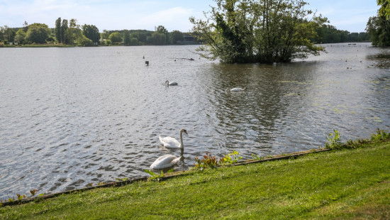 Brielstraat - 19 - - E3 - 9290